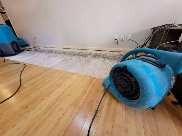 Professional Sewage Cleanup technician working in Horseshoe Bay, TX